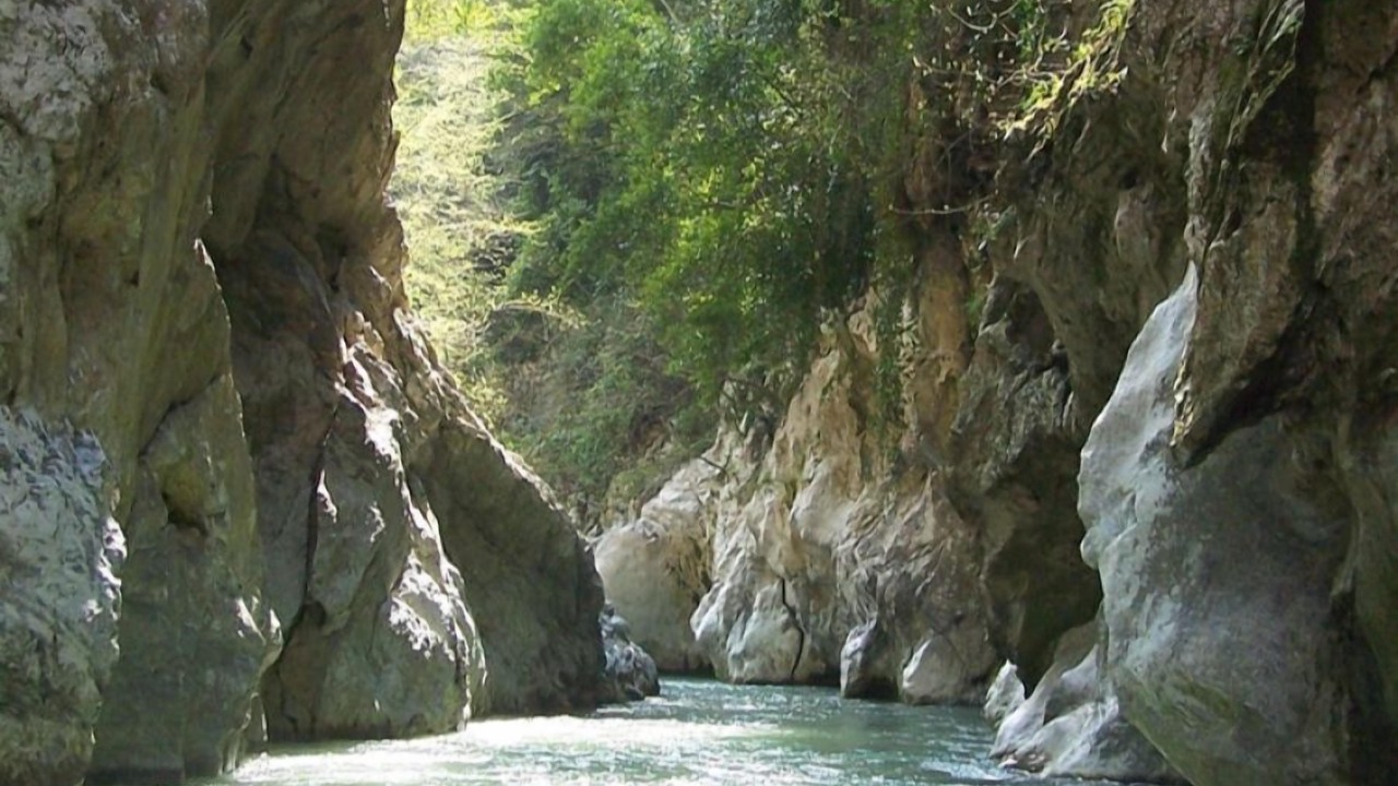 Photo of Others in Papasidero