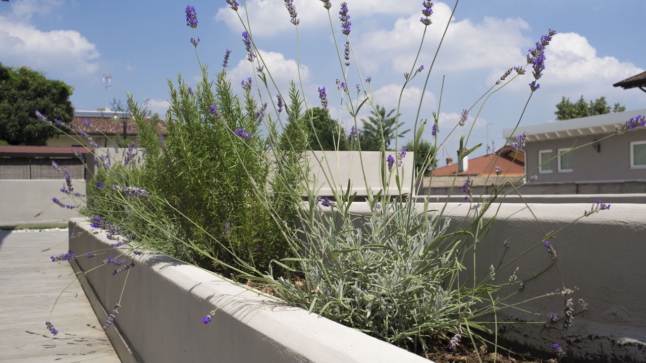 Photo of Outdoor in Padernello