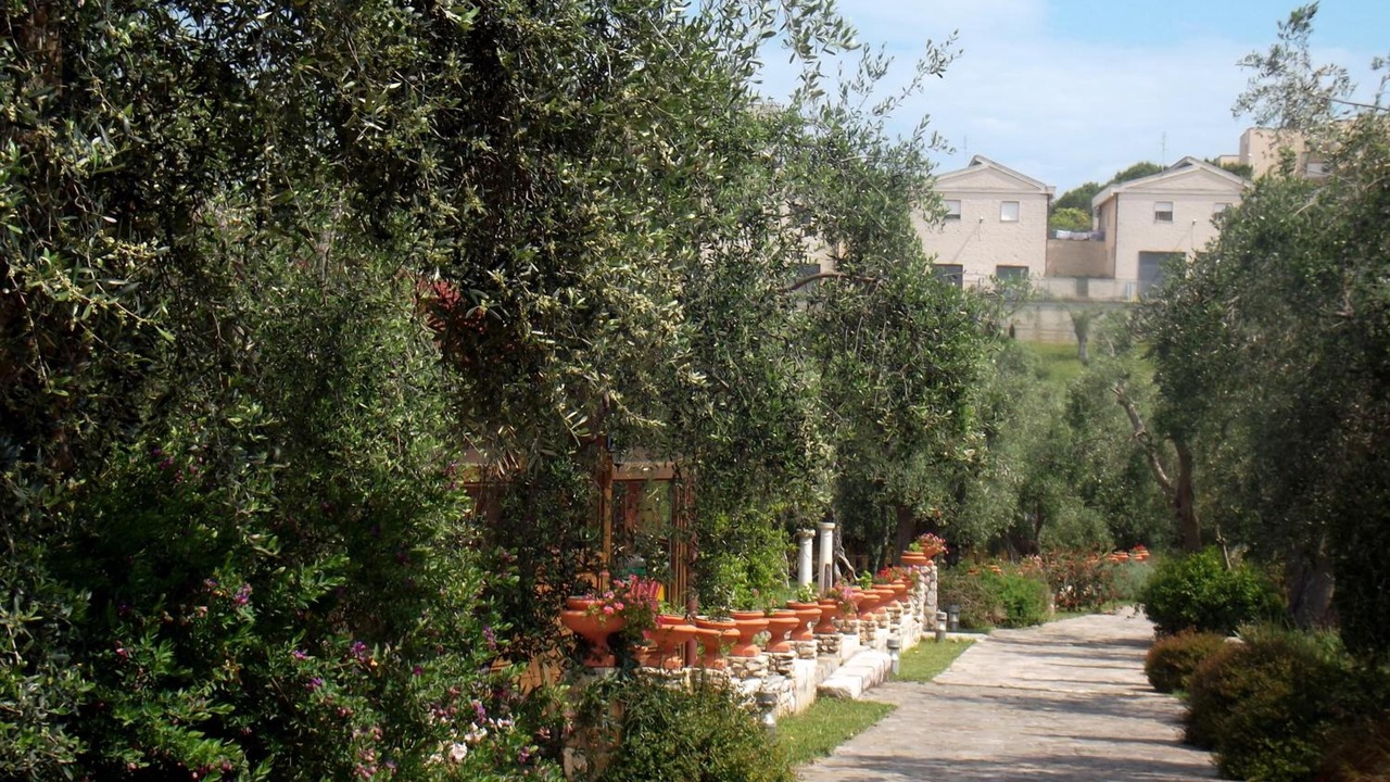 Photo of Outdoor in Rodi Garganico
