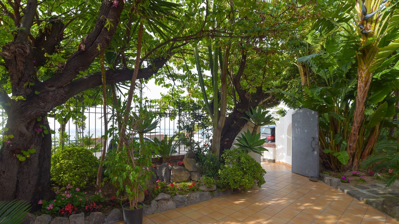 Photo of Outdoor in Casamicciola Terme