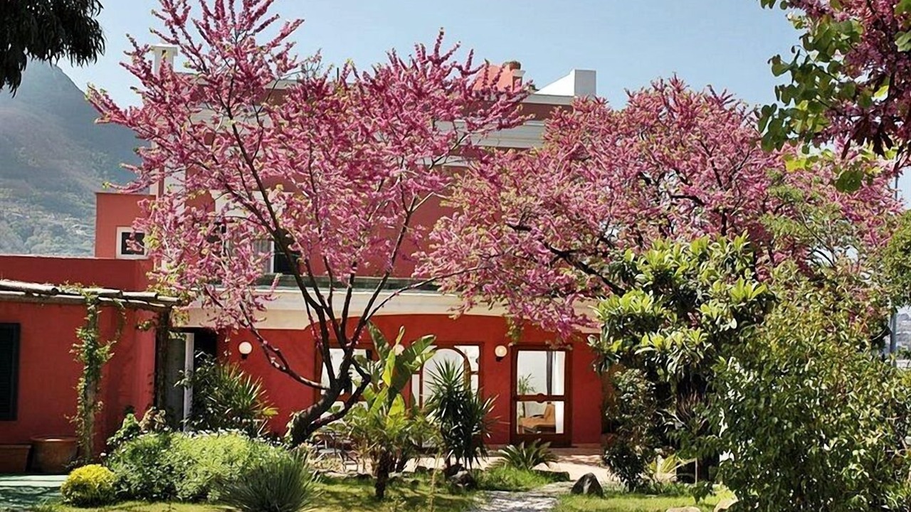 Photo of Outdoor in Casamicciola Terme