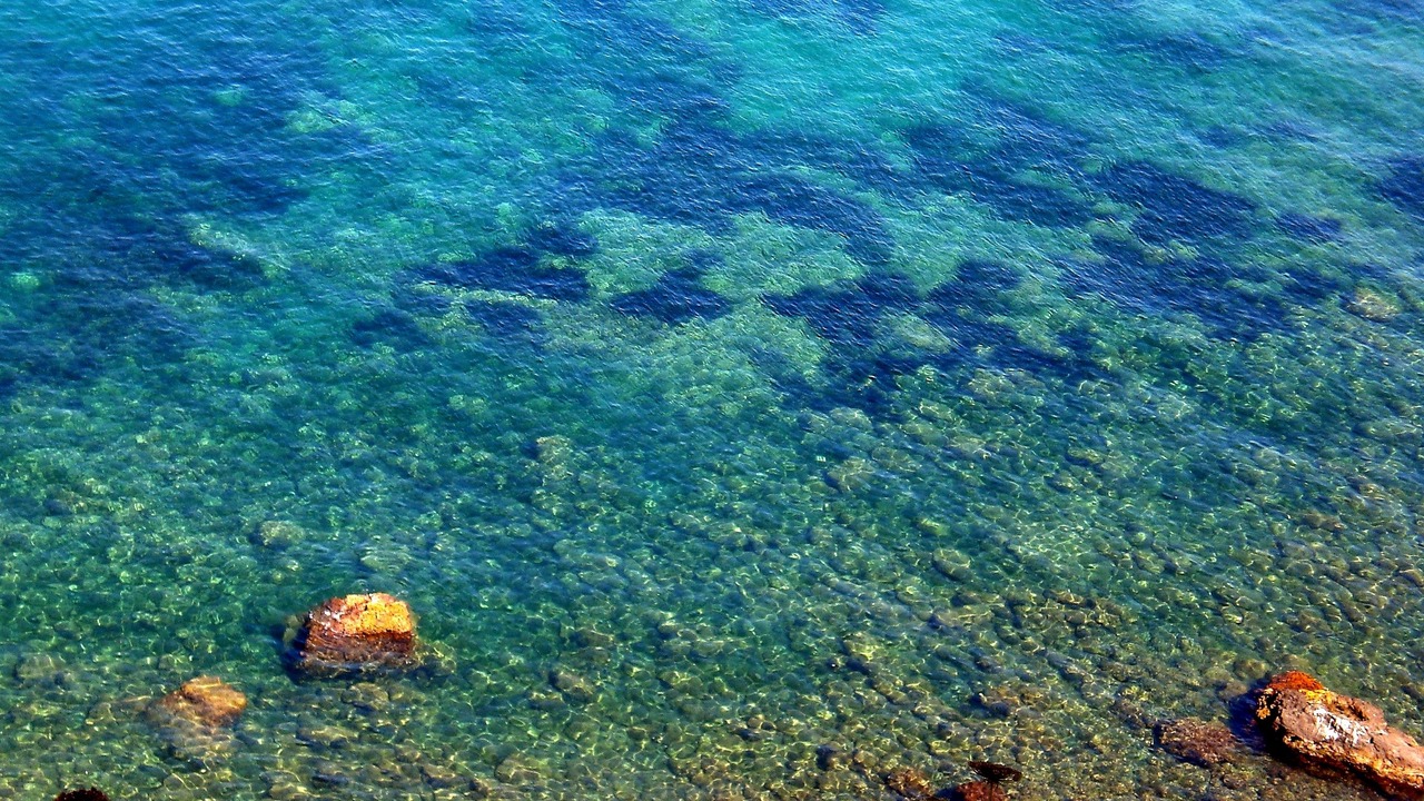 Photo of Others in Procida