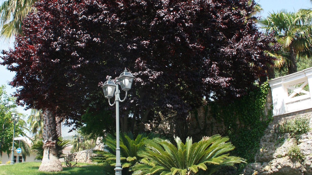 Photo of Outdoor in Gaeta