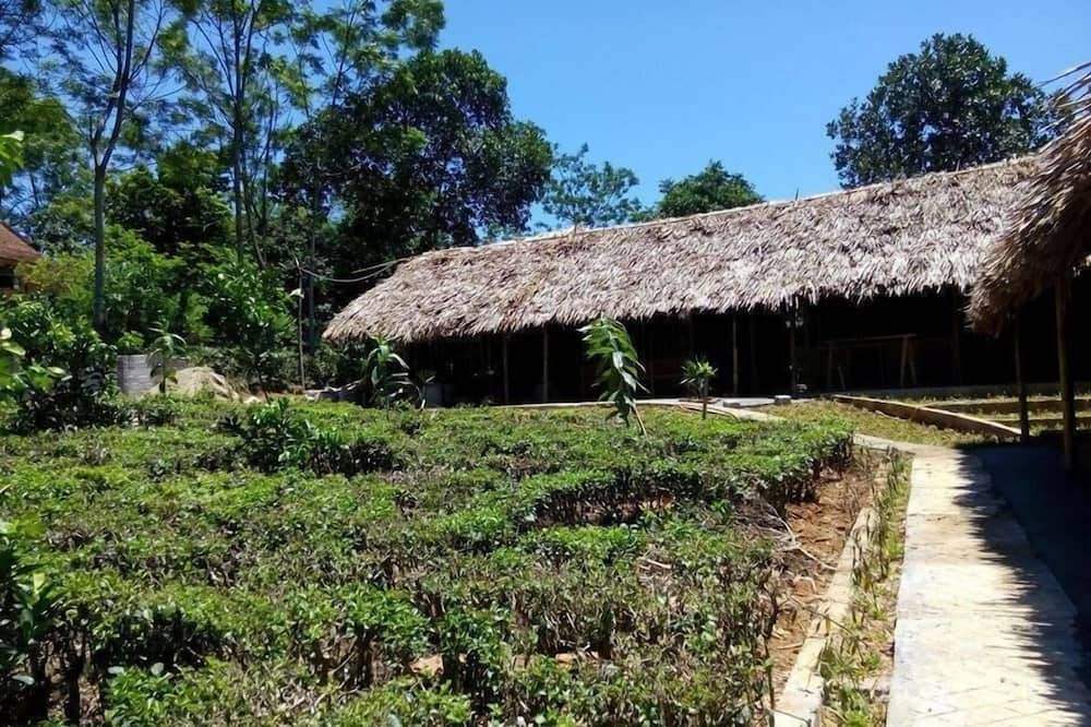 Photo of Outdoor in Ba Vi