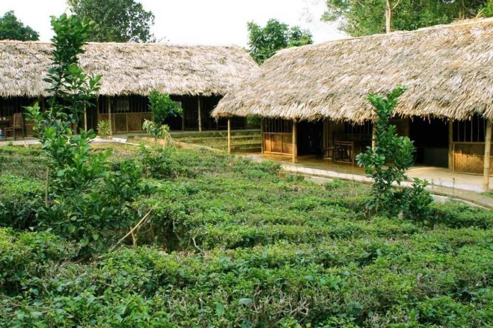 Photo of Outdoor in Ba Vi