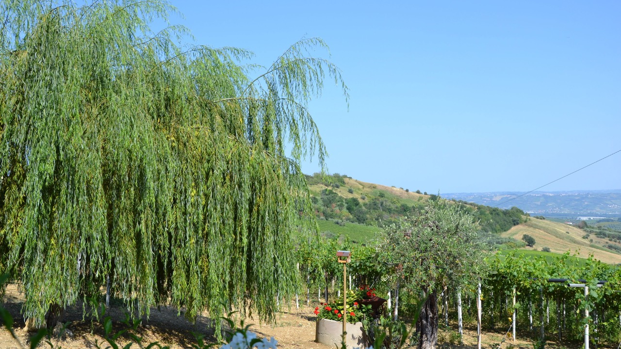Photo of Outdoor in Lanciano