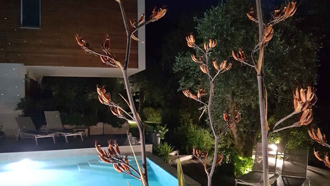 Photo of Outdoor in Campagnola
