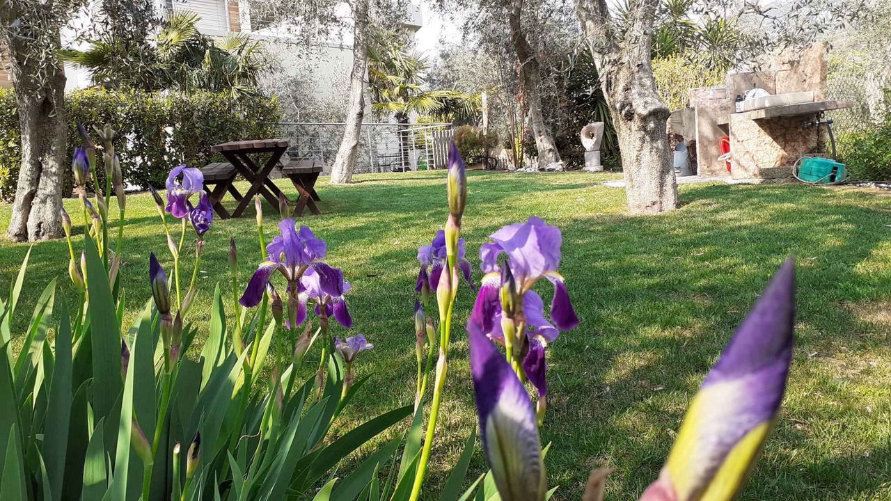 Photo of Outdoor in Campagnola