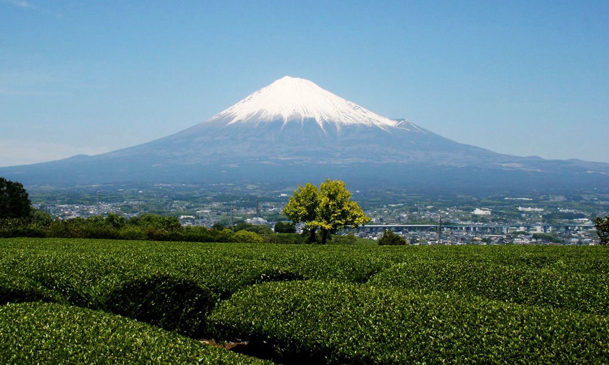 Photo of Others in Fujieda
