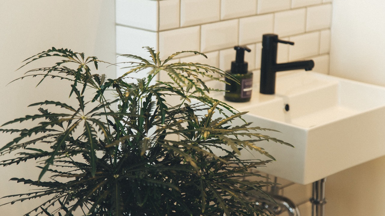 Photo of Bathroom in Kita