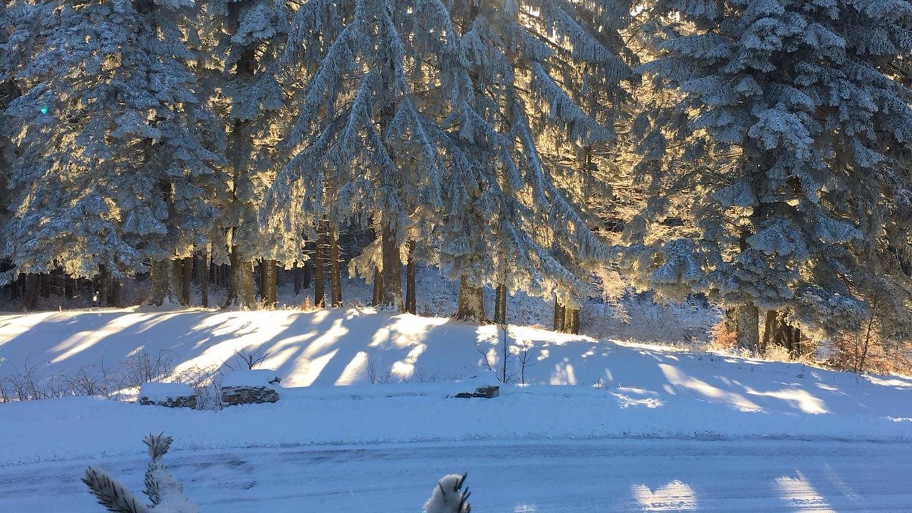 Photo of Outdoor in Predeal