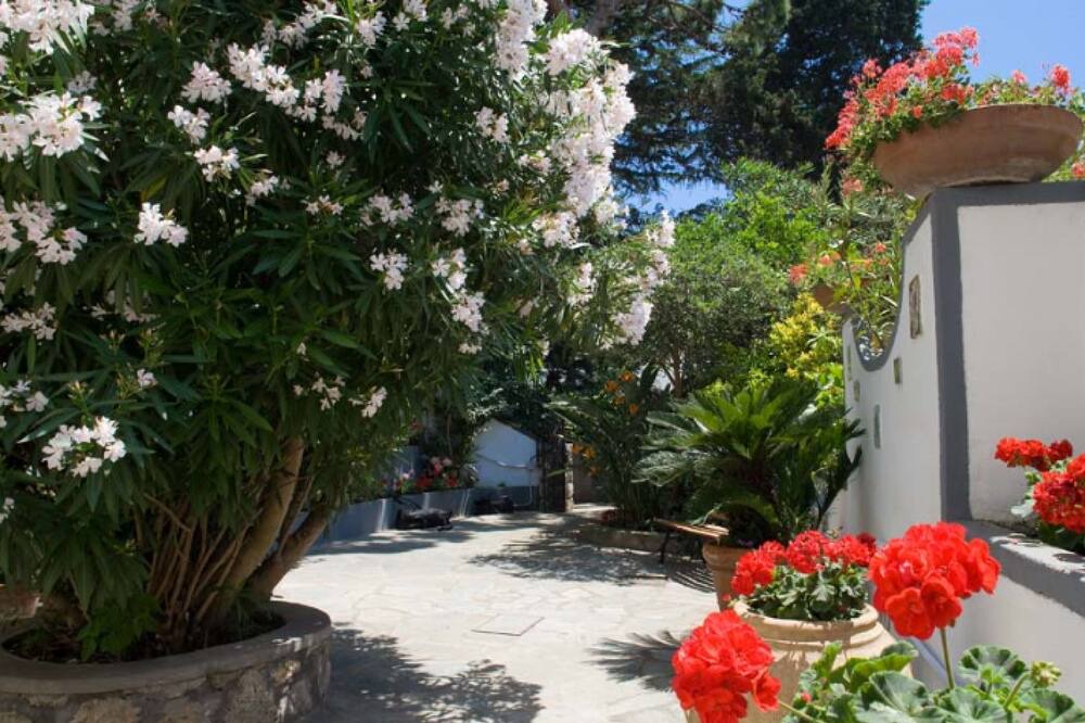 Photo of Outdoor in Capri