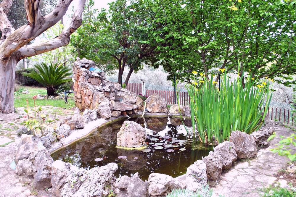 Photo of Outdoor in Itri
