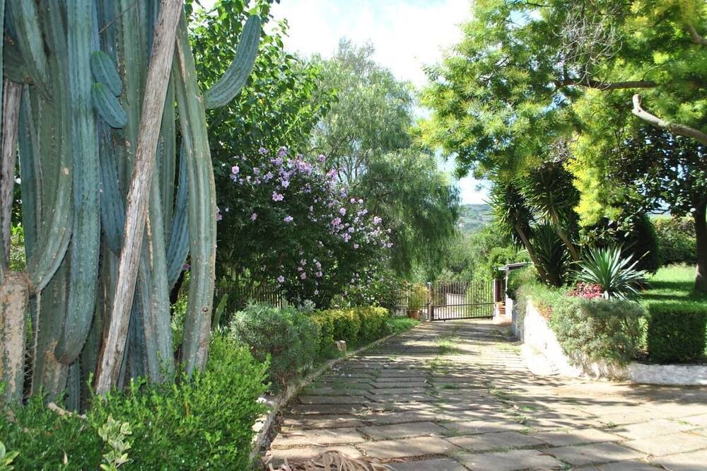 Photo of Outdoor in Itri