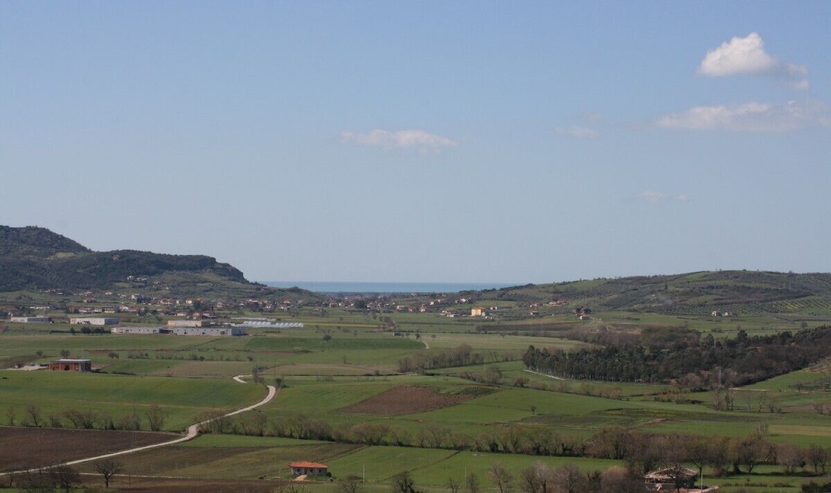 Photo of Others in Albanella
