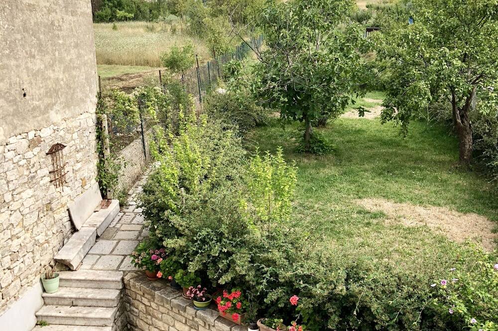 Photo of Outdoor in Jelsi