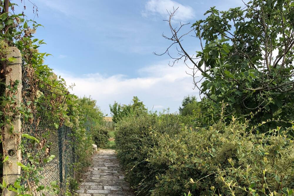 Photo of Outdoor in Jelsi