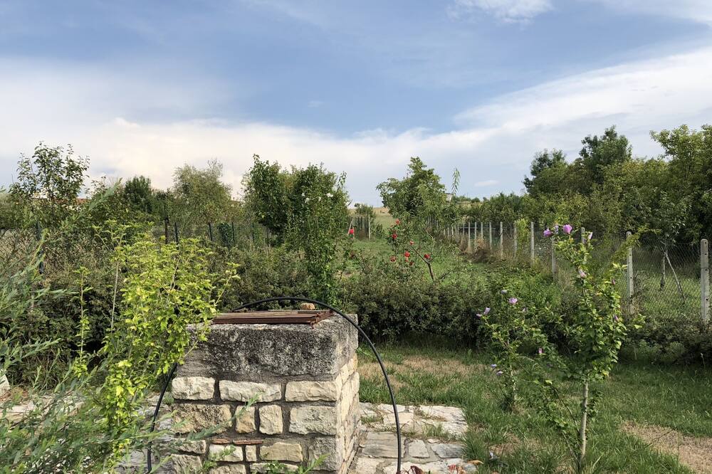 Photo of Outdoor in Jelsi