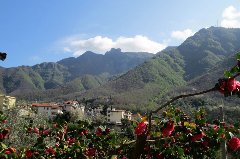 Photo of Outdoor in Piazza-Tralia-Pendolo