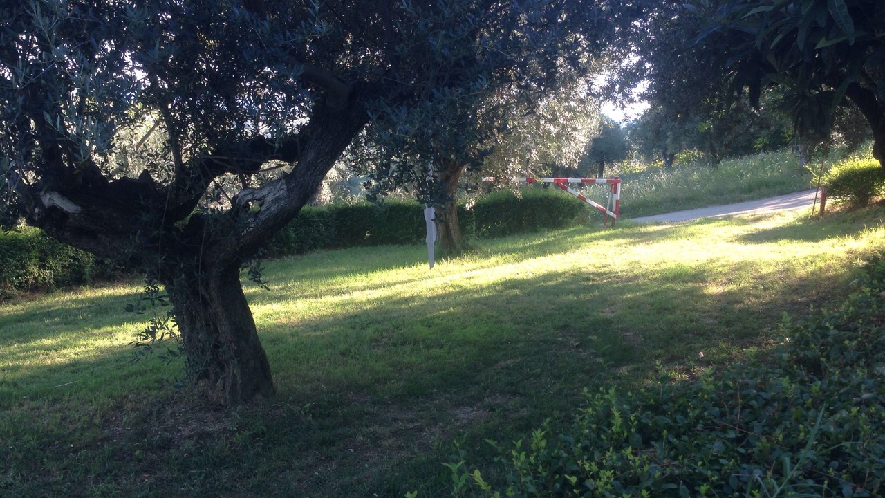 Photo of Outdoor in Pianella