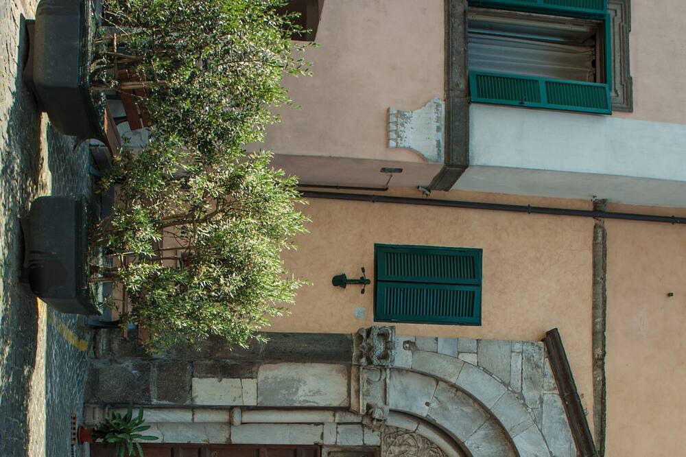 Photo of Outdoor in Capranica