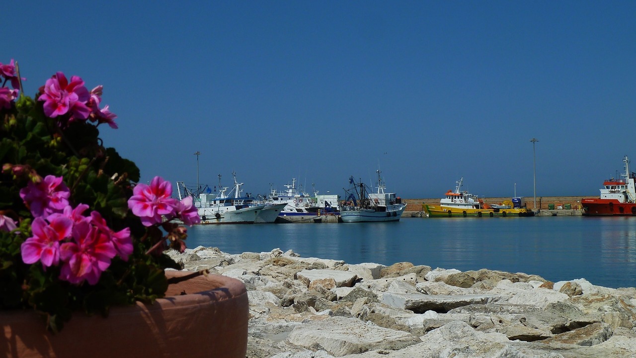 Photo of Others in Mosciano Sant'Angelo
