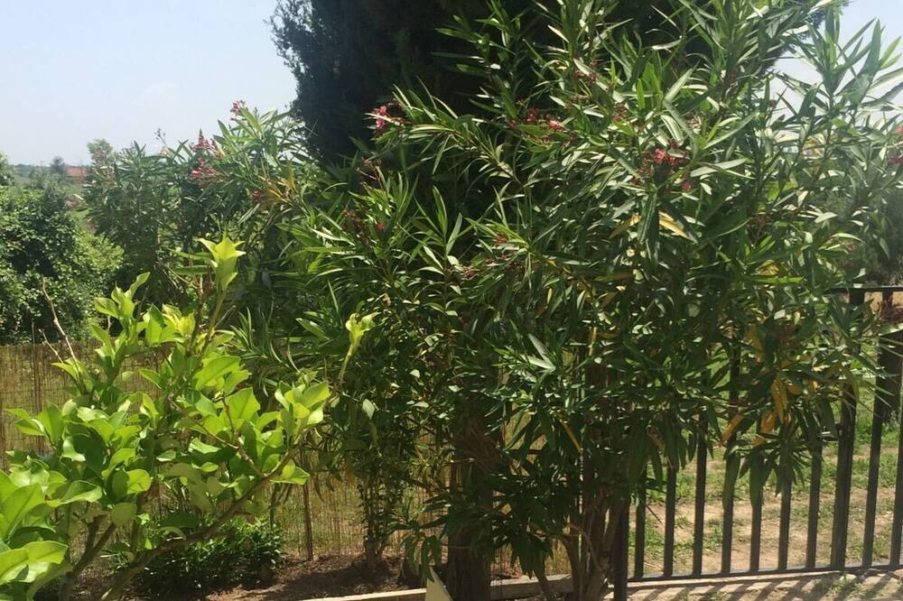 Photo of Outdoor in Ortona