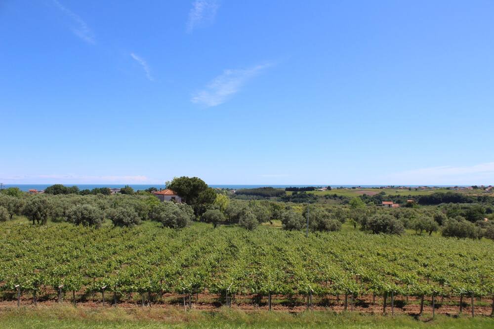 Photo of Outdoor in Ortona