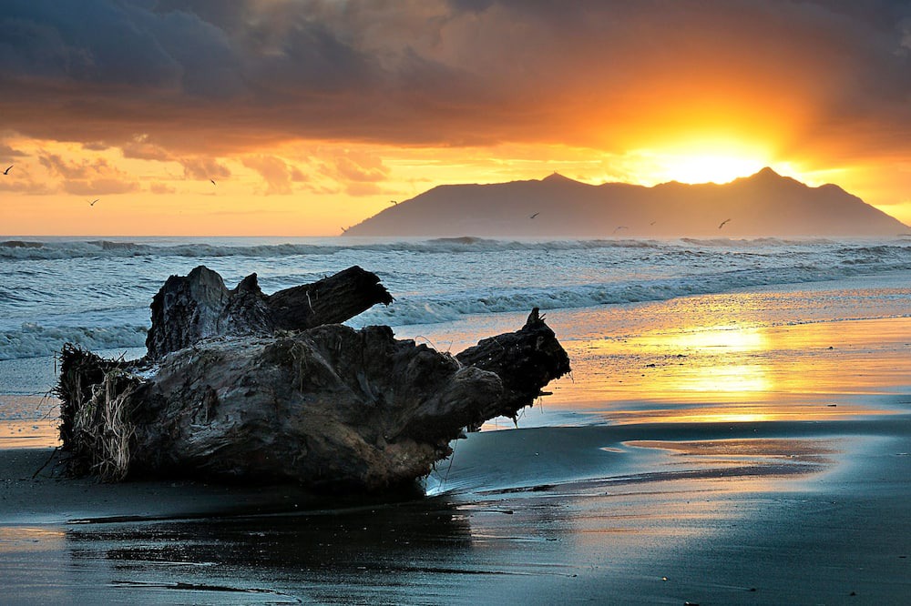 Photo of Others in Terracina
