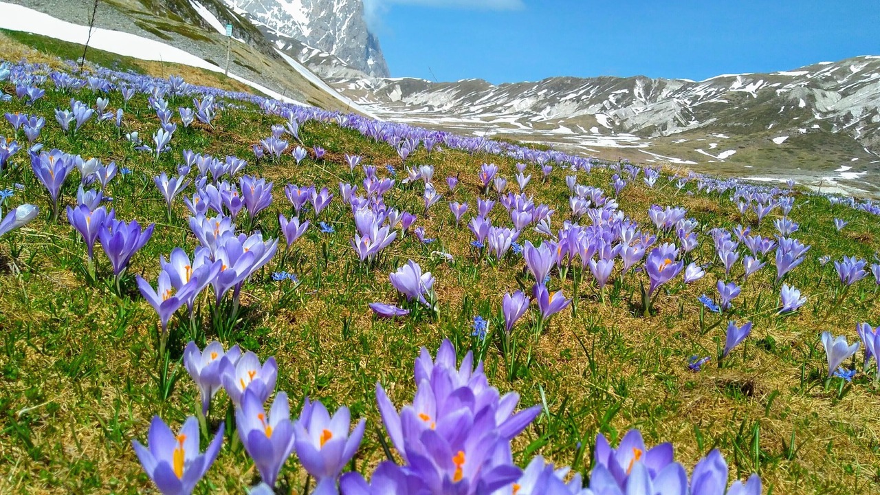 Photo of Outdoor in Vicoli