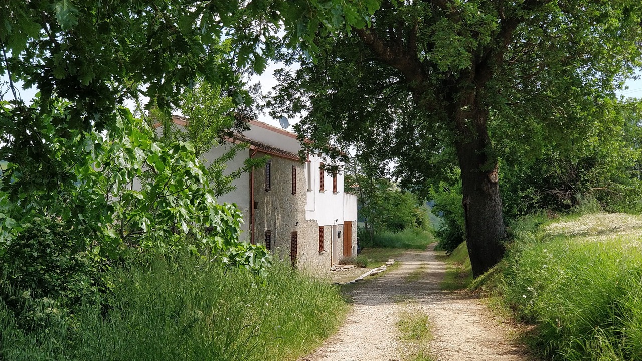 Photo of Outdoor in Vicoli