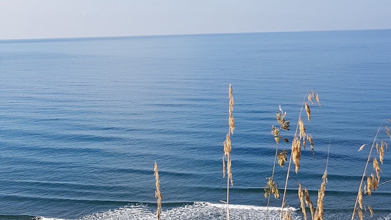 Photo of Others in Marina Lido
