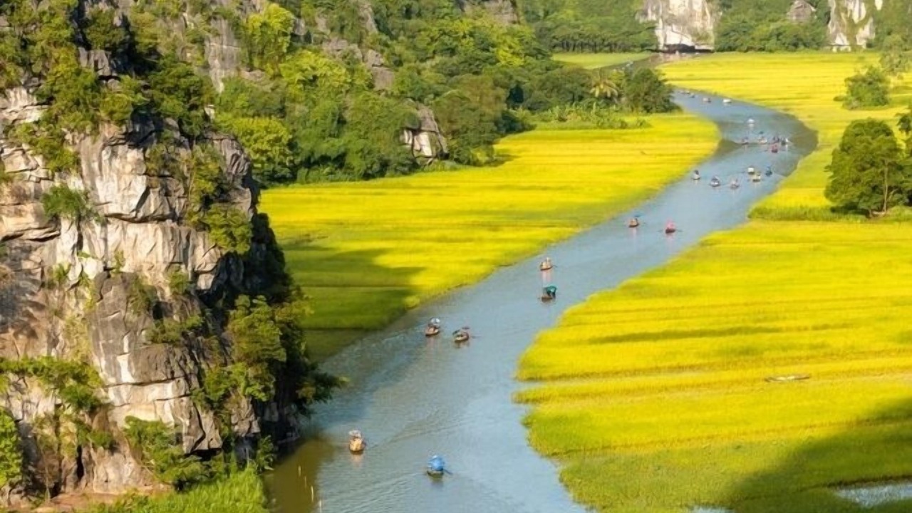 Photo of Others in Dong Da