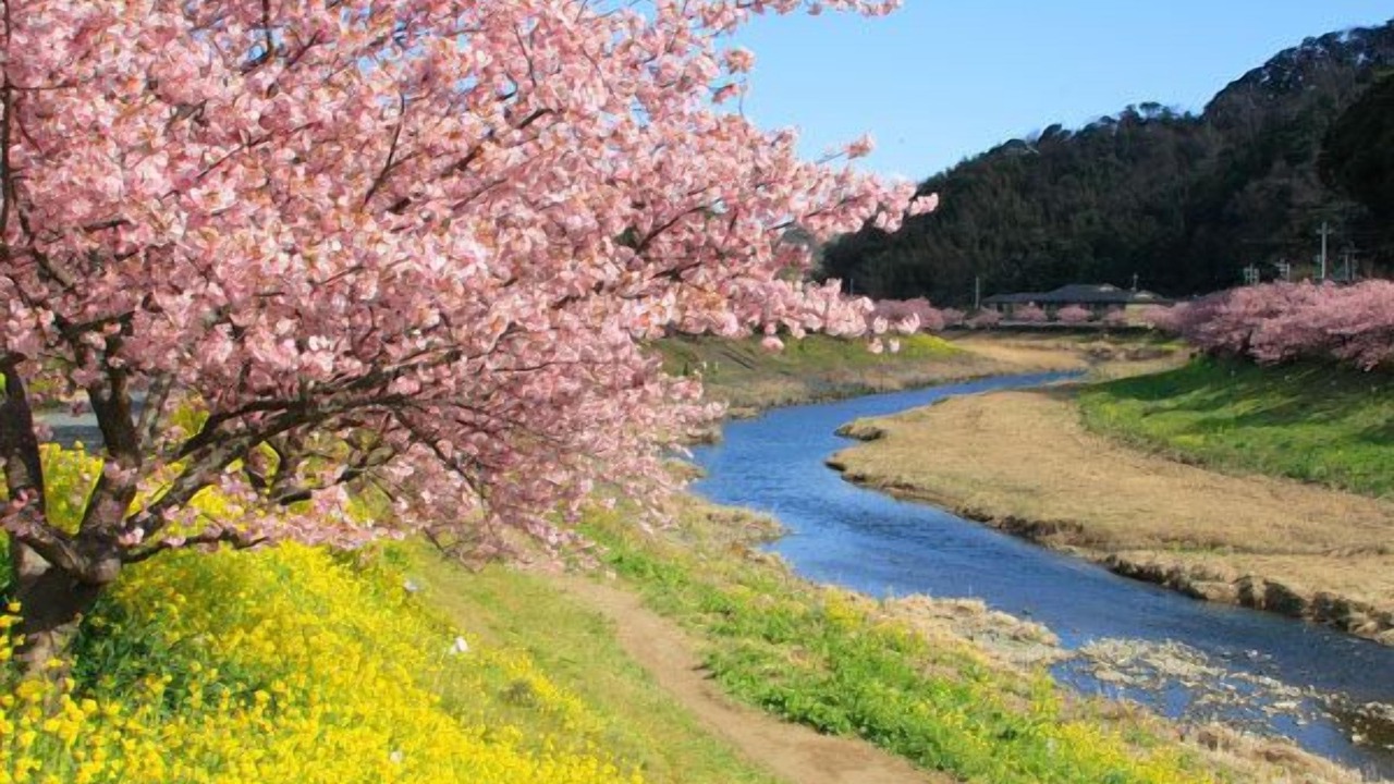 Photo of Others in Minamiizu