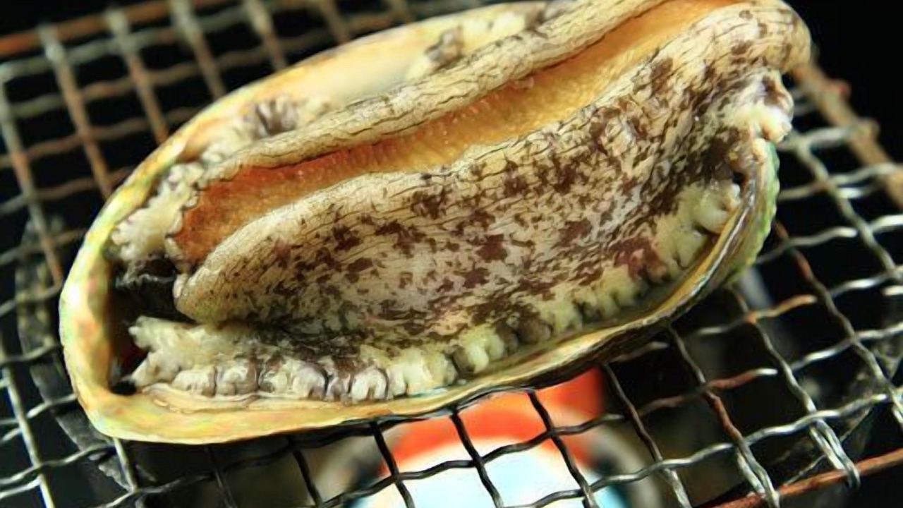 Photo of Others in Minamiizu