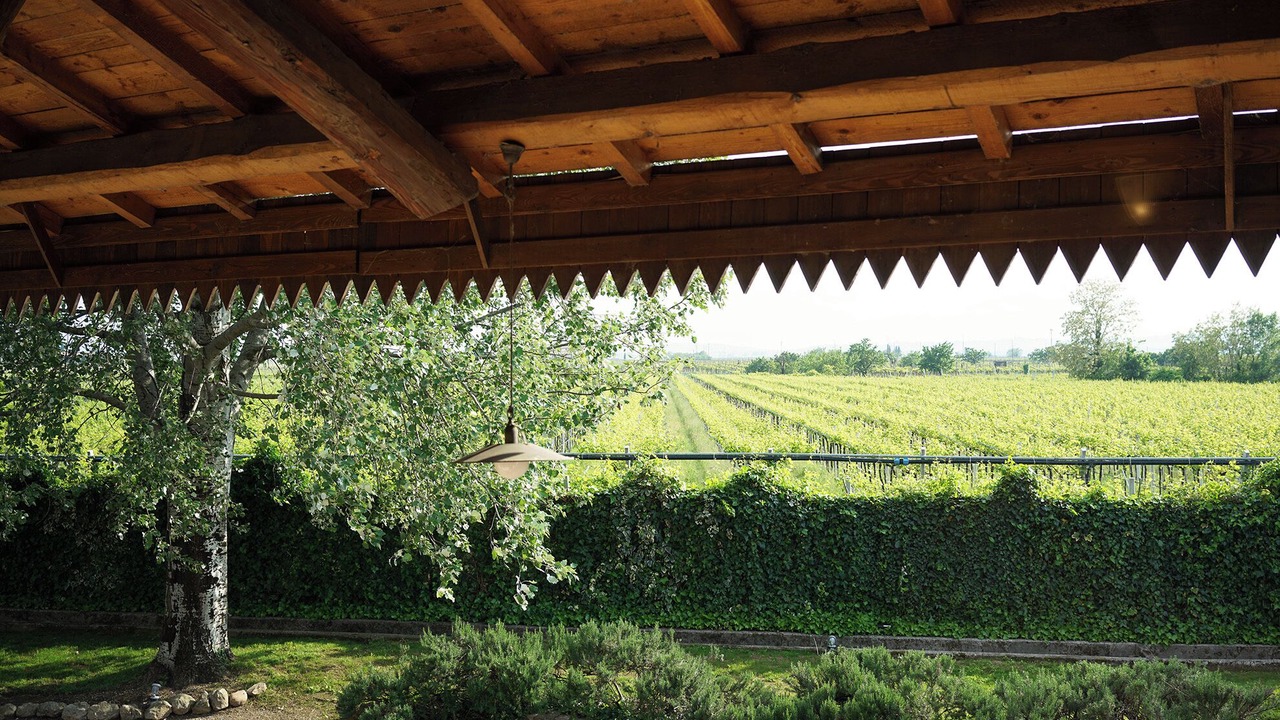 Photo of Outdoor in San Pietro in Cariano