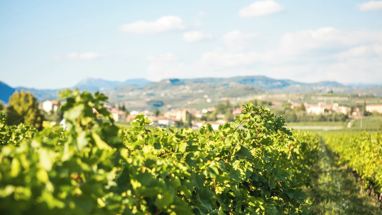 Photo of Outdoor in San Pietro in Cariano