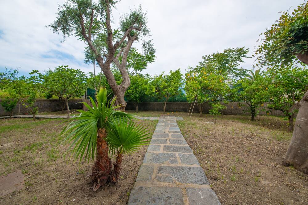 Photo of Outdoor in Forio