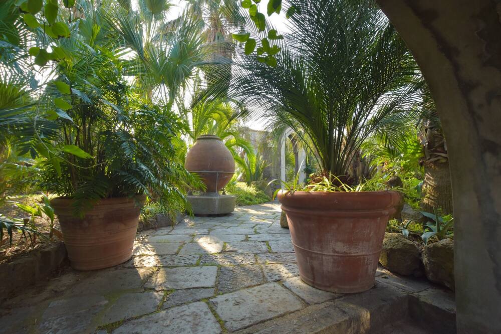 Photo of Outdoor in Forio