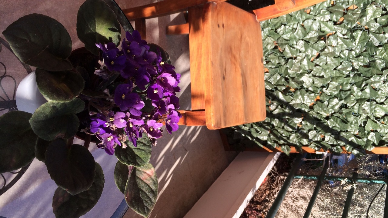 Photo of Patio Balcony in Ostiense