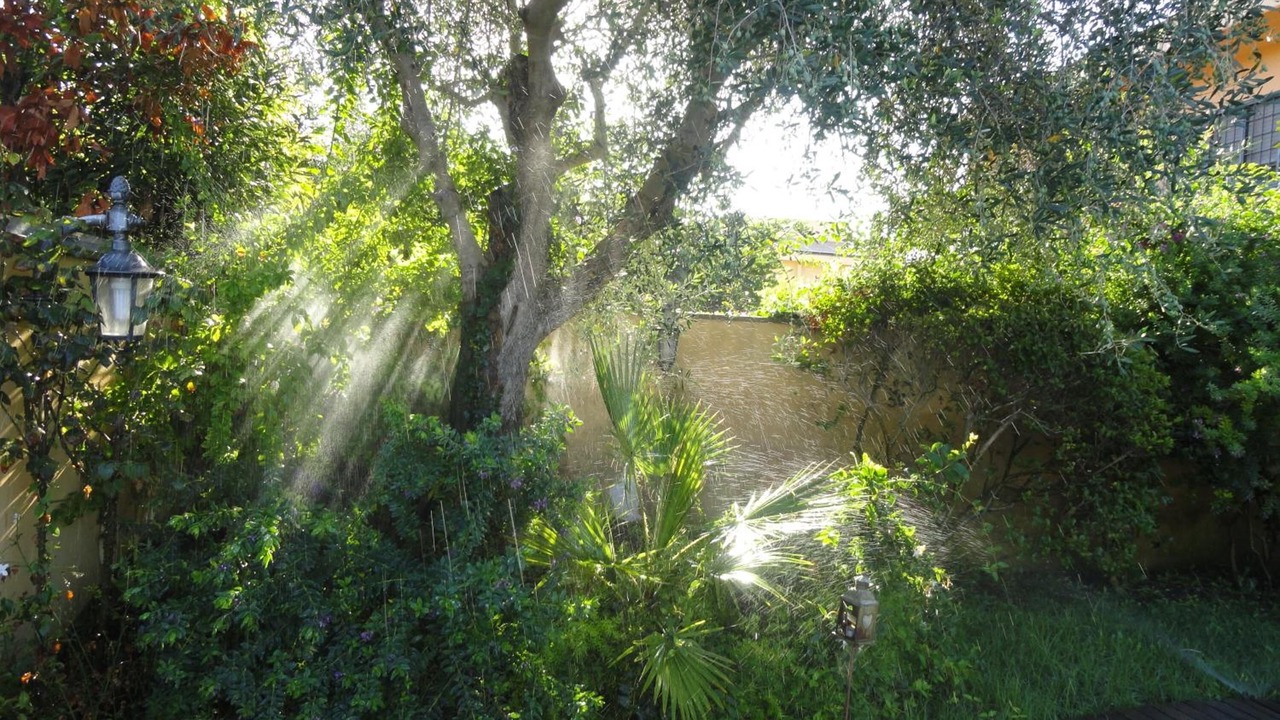 Photo of Outdoor in Zona XXX Castel Fusano