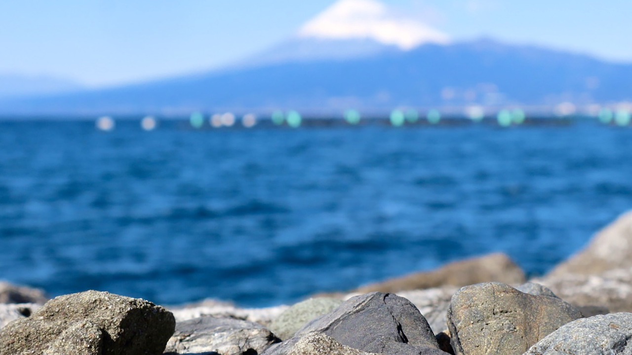 Photo of Others in Numazu