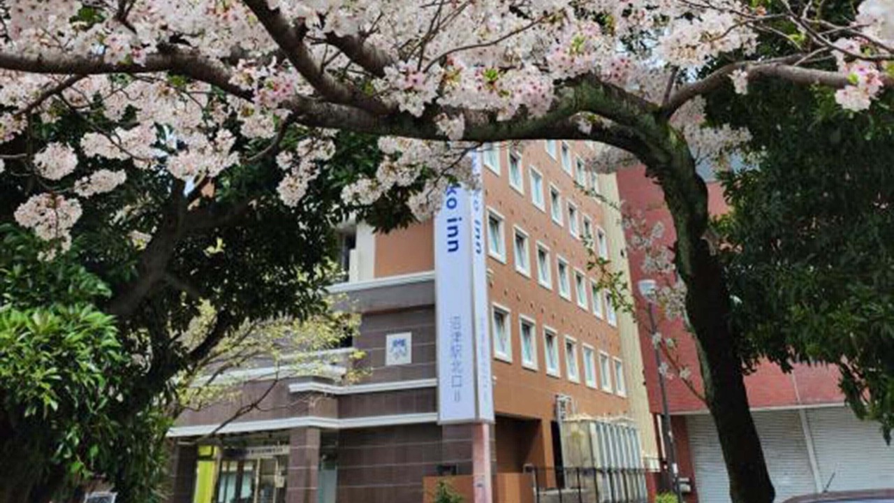 Photo of Outdoor in Numazu