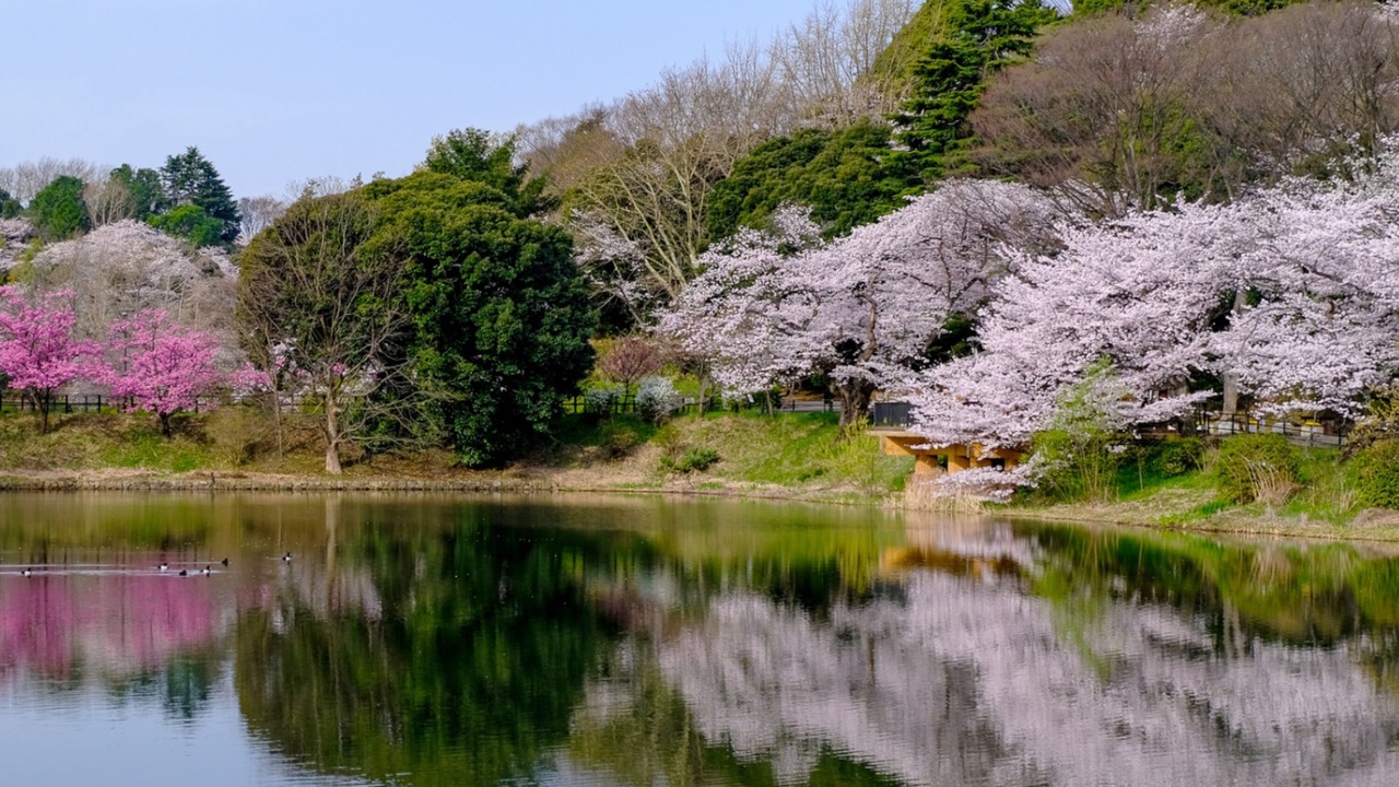 Photo of Others in Tsurumi