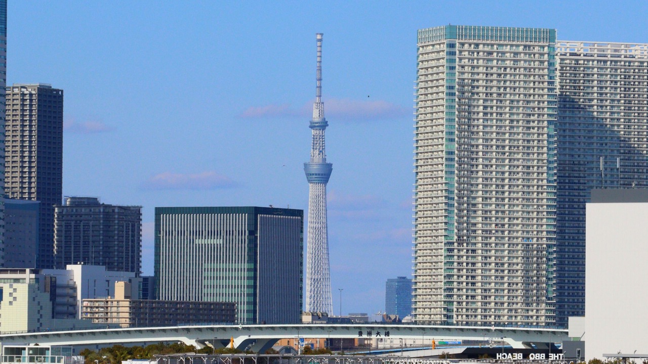 Photo of Others in Chuo