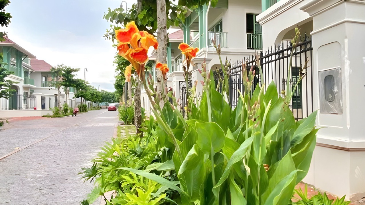 Photo of Outdoor in An Thoi