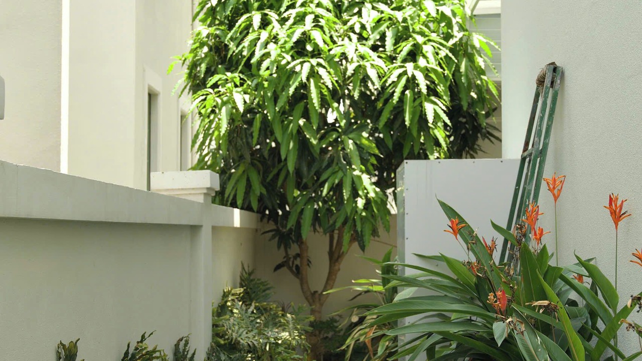 Photo of Outdoor in An Thoi