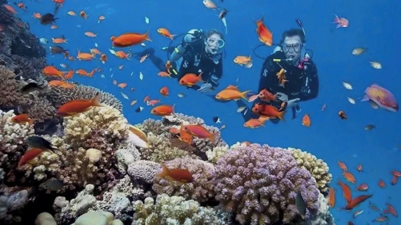 Photo of Others in Khem Beach
