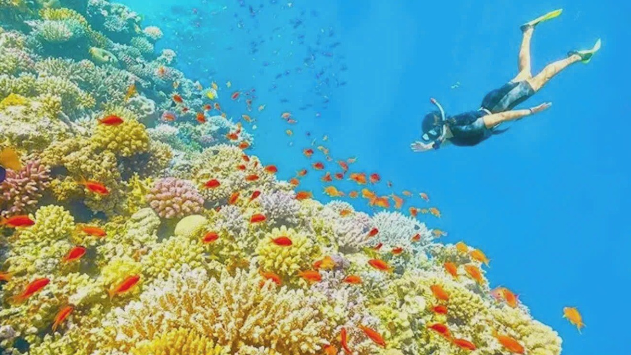 Photo of Others in Khem Beach