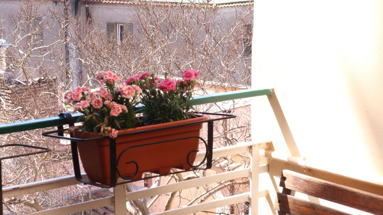 Photo of Outdoor in Lake Bracciano